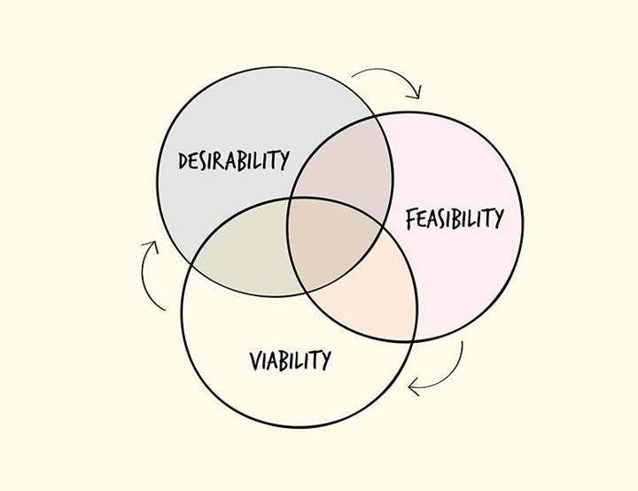 User-Centric Insights & 'DVF' Loops