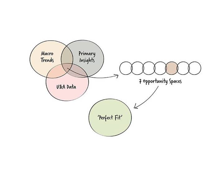 Opportunity Spotting:  The Perfect Fit 
